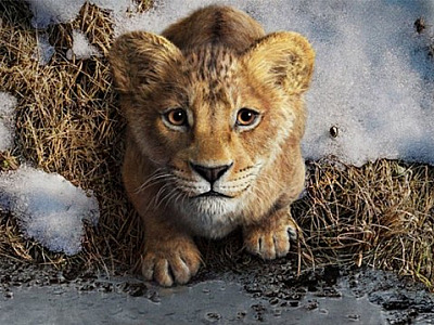 Cinemark lança combo exclusivo de ‘Mufasa: O Rei Leão’ com itens colecionáveis