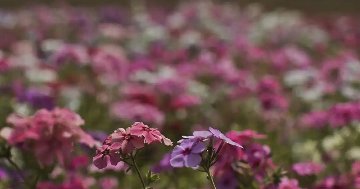 Primavera começa com chegada de frente fria, temporais e fortes ventos