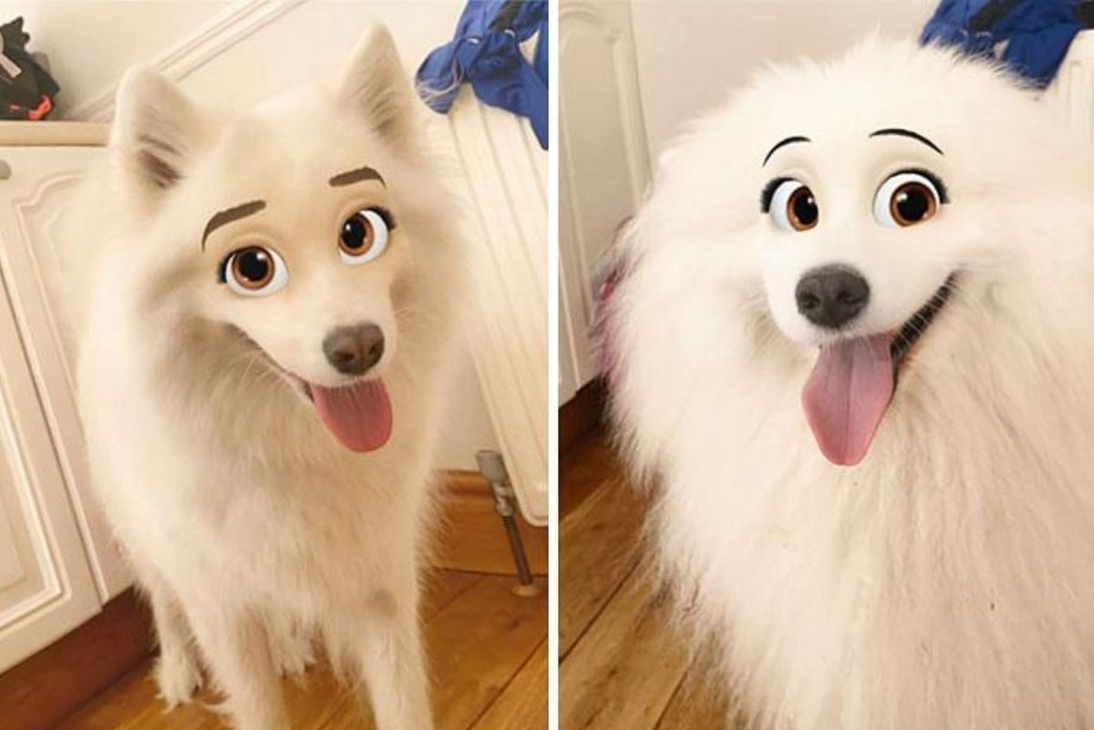 Snapchat lança filtro que transforma pets em personagens da Disney