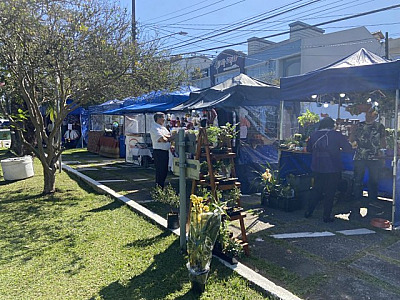 Feira de Artes acontece até sábado (12) em Aldeia da Serra