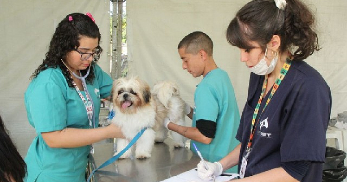 Barueri abre agendamento para castração gratuita de pets no dia 6 de setembro