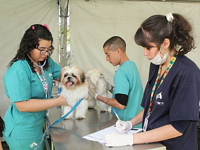 Barueri abre agendamento para castração gratuita de pets no dia 6 de setembro