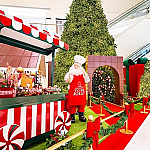 Iguatemi Alphaville recebe corais natalinos