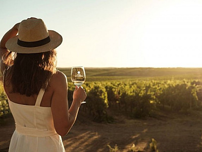 Vila Galé inicia programa de vindimas com colheita de uva e degustação de vinhos em Portugal