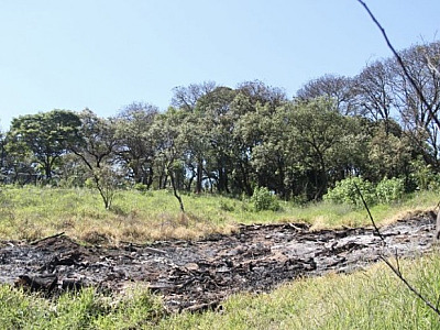 Em 2022, Barueri registrou oito focos de queimadas na cidade