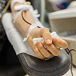 Banco de Sangue do HSPE convoca população para manter estoque de bolsas