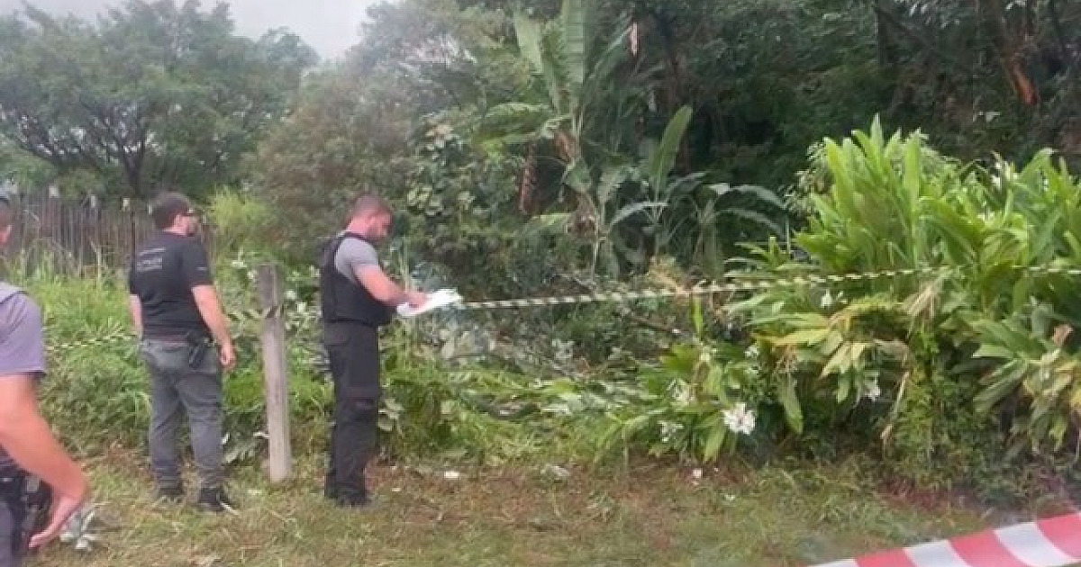 Confira os principais acontecimentos em Alphaville e região em 2024