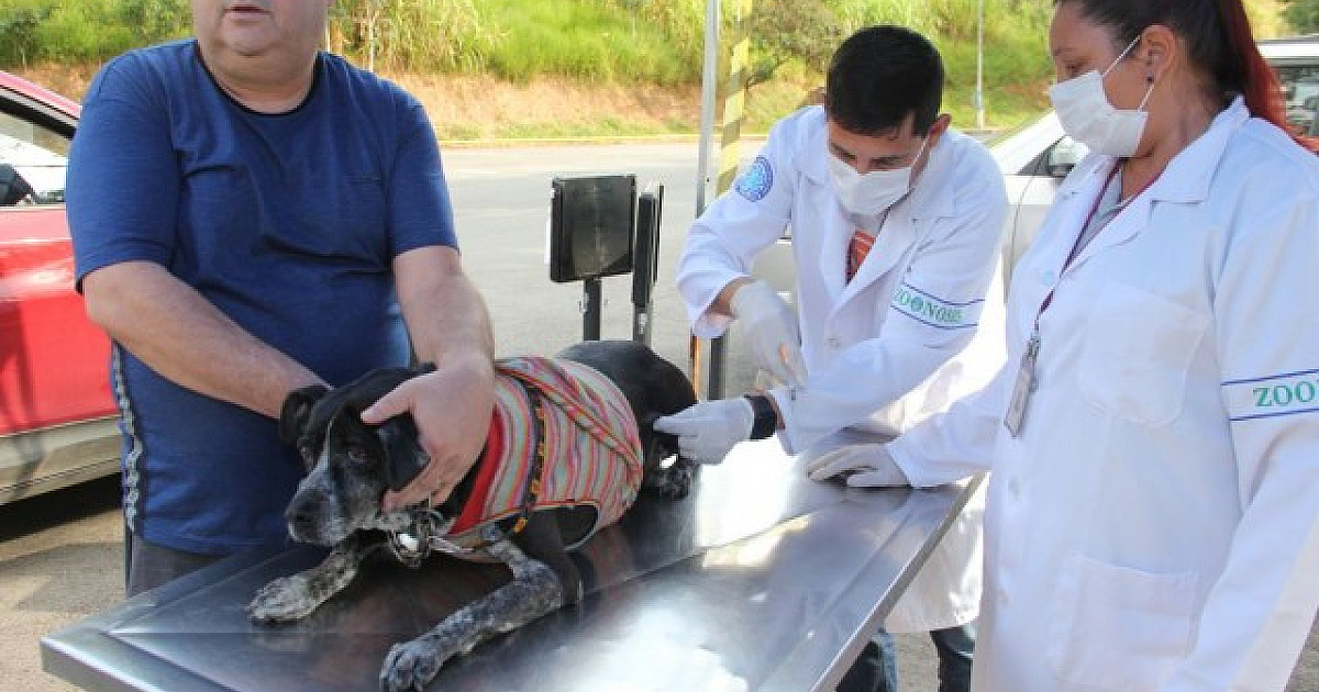 Barueri abre agendamento para vacinação antirrábica nesta segunda-feira (25)