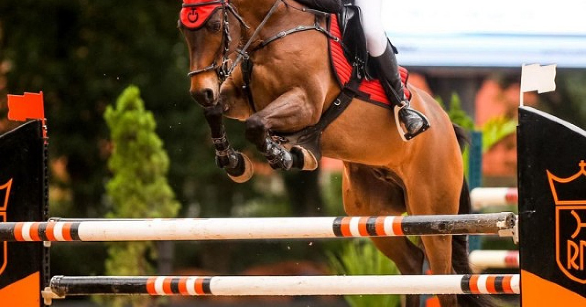 Moradora de Alphaville recebe prêmio Hipismo Brasil