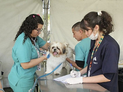 Barueri abre agendamento para castração de pets nesta quarta-feira (7)