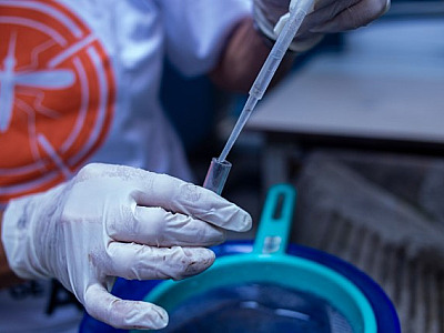 Em meio à pandemia, casos de dengue registram queda na região