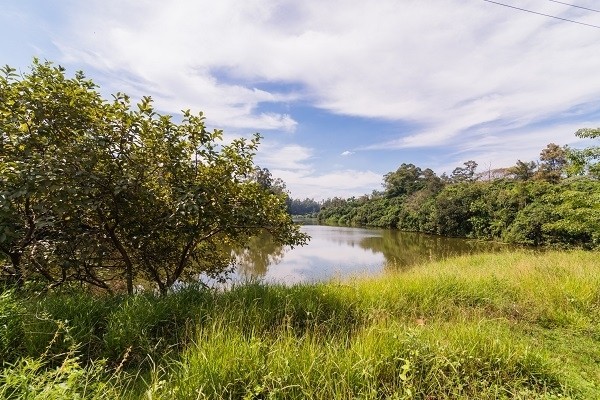 Por mais áreas verdes e de lazer, municípios investem em parques
