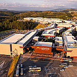 Catarina Fashion Outlet recebe feira de gatos exóticos com entrada gratuita