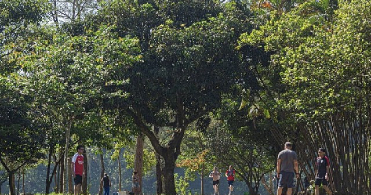 Carnaval deve ser de muito sol e pancadas de chuva na região