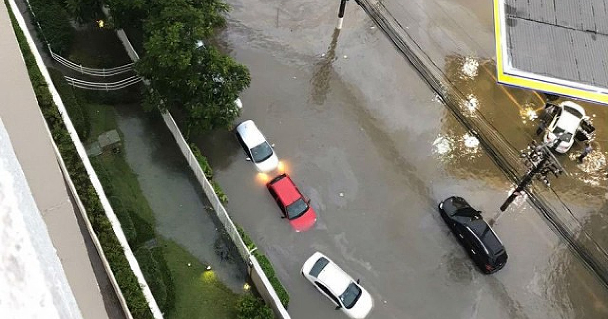 Cruz Vermelha arrecada doações para vítimas das chuvas no Estado de SP
