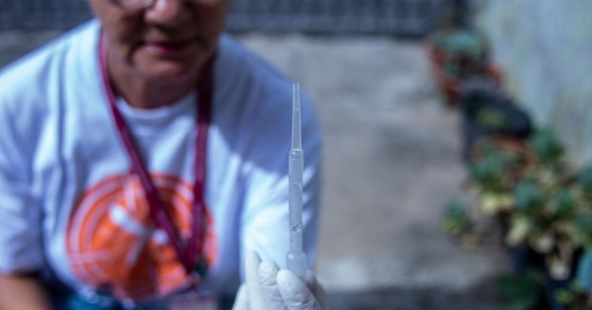 Com mais chuvas, municípios intensificam ações contra dengue