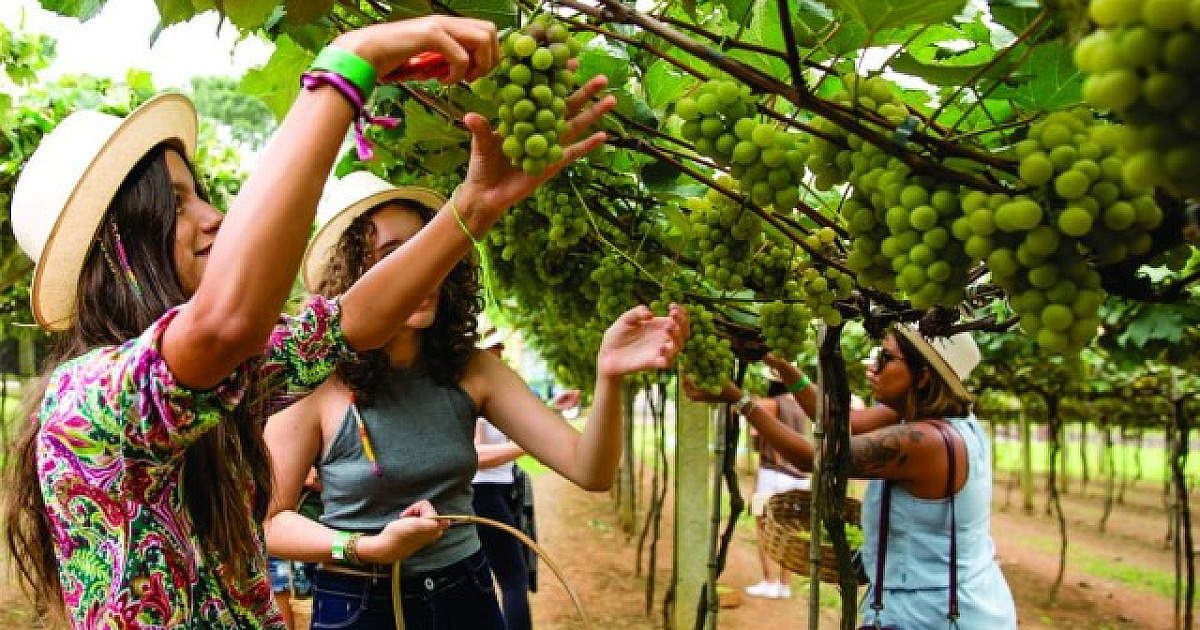 7 passeios em São Roque para aproveitar as férias de verão