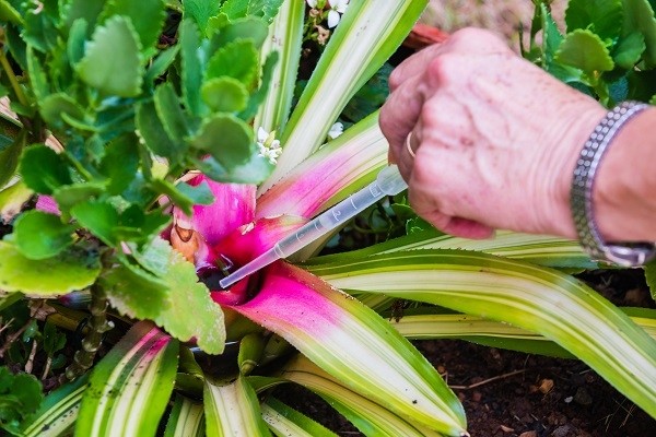 Em oito meses, Barueri e Parnaíba somam 184 ocorrências de dengue