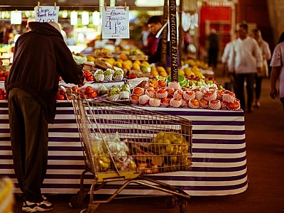 Novo Ceasa pode ser implantado na região de Alphaville/Tamboré