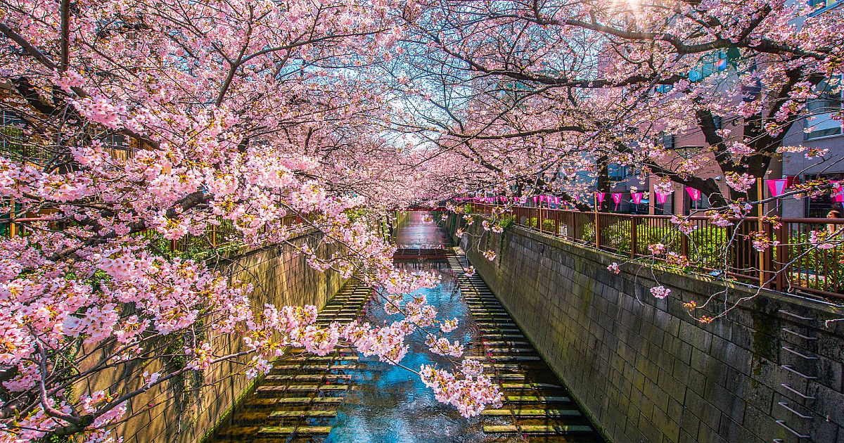 5 bairros imperdíveis em Tóquio para visitar ao menos uma vez