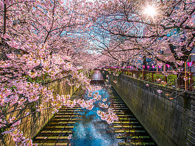 5 bairros imperdíveis em Tóquio para visitar ao menos uma vez