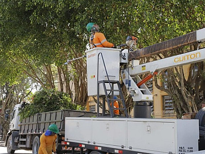 Para serviço de podas de árvores mais eficiente, Barueri adota novo modelo de gestão de arborização