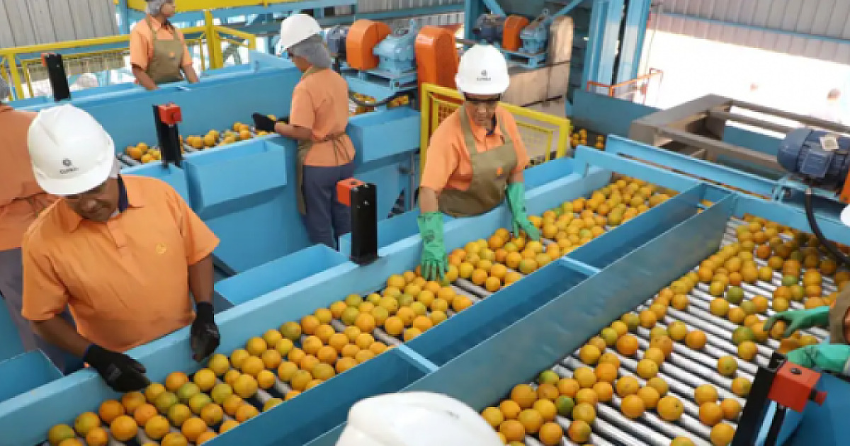 Quase 700 produtos escaparam de 'tarifaço' dos Estados Unidos; confira a lista