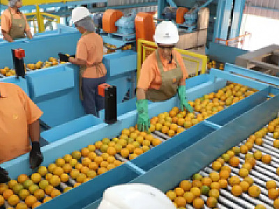 Quase 700 produtos escaparam de 'tarifaço' dos Estados Unidos; confira a lista