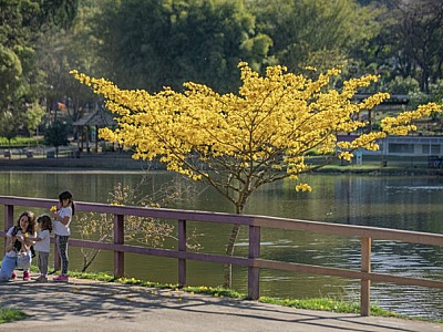 Com La Niña, primavera deve ser marcada por chuvas