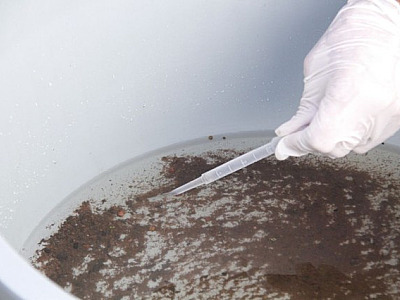 Contra a dengue, Barueri já vistoriou mais de 15 mil imóveis