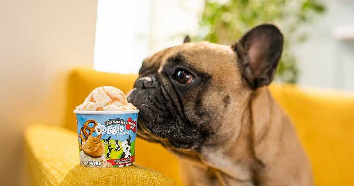 Ben & Jerry’s aposta em sorvete para cachorros