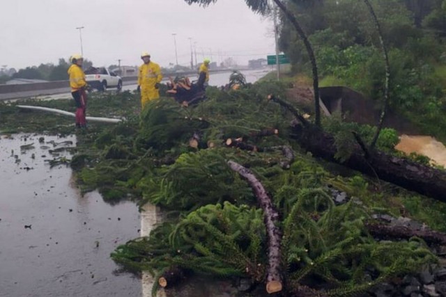 Reflexos de ‘ciclone bomba’ causam ventos fortes em São Paulo nesta quarta-feira (1º)