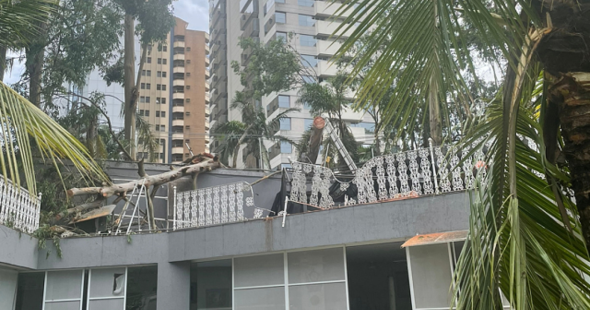 Moradora de Alphaville tem casa atingida por árvores durante chuva que assolou bairro há duas semana