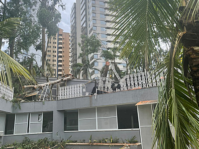 Moradora de Alphaville tem casa atingida por árvores durante chuva que assolou bairro há duas semana