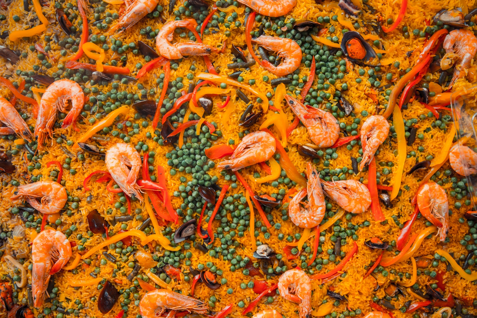 Festival do Açaí, Pastel, Paella e Cerveja Artesanal acontece neste fim de semana