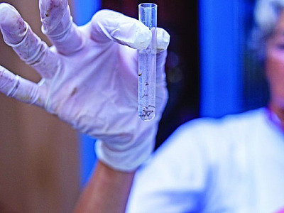 SP decreta emergência em saúde pública por conta da dengue