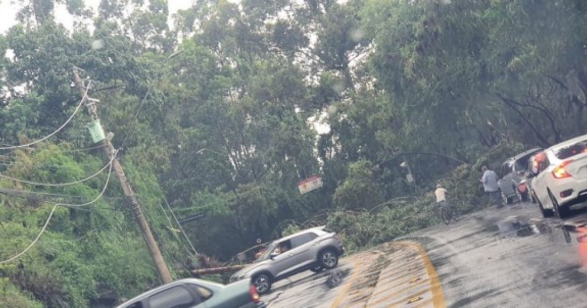 Temporal atinge Alphaville e causa queda de árvores e postes