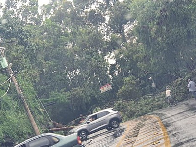 Temporal atinge Alphaville e causa queda de árvores e postes