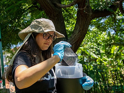 Santana de Parnaíba adota armadilhas inteligentes no combate à dengue