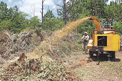 AREA na defesa do Meio Ambiente