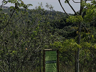 Telas de alambrado em torno da Reserva Tamboré serão substituídas por gradis de ferro