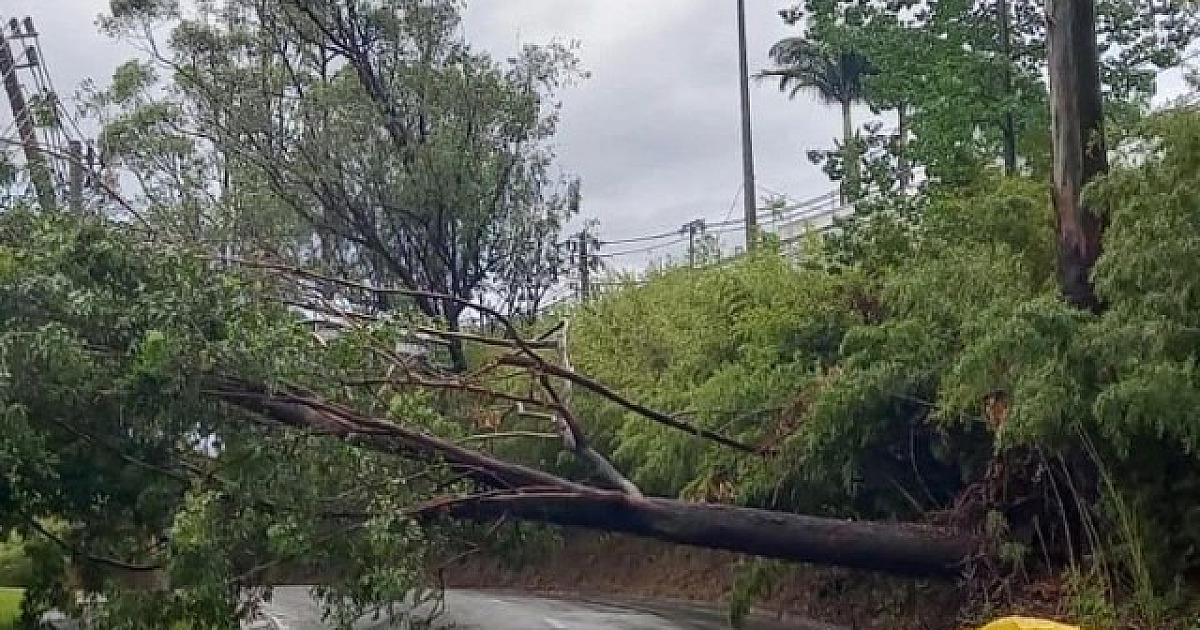 Mês deve ser de chuvas acima da média nos municípios, diz Climatempo