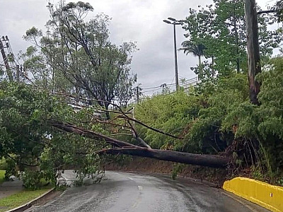 Mês deve ser de chuvas acima da média nos municípios, diz Climatempo