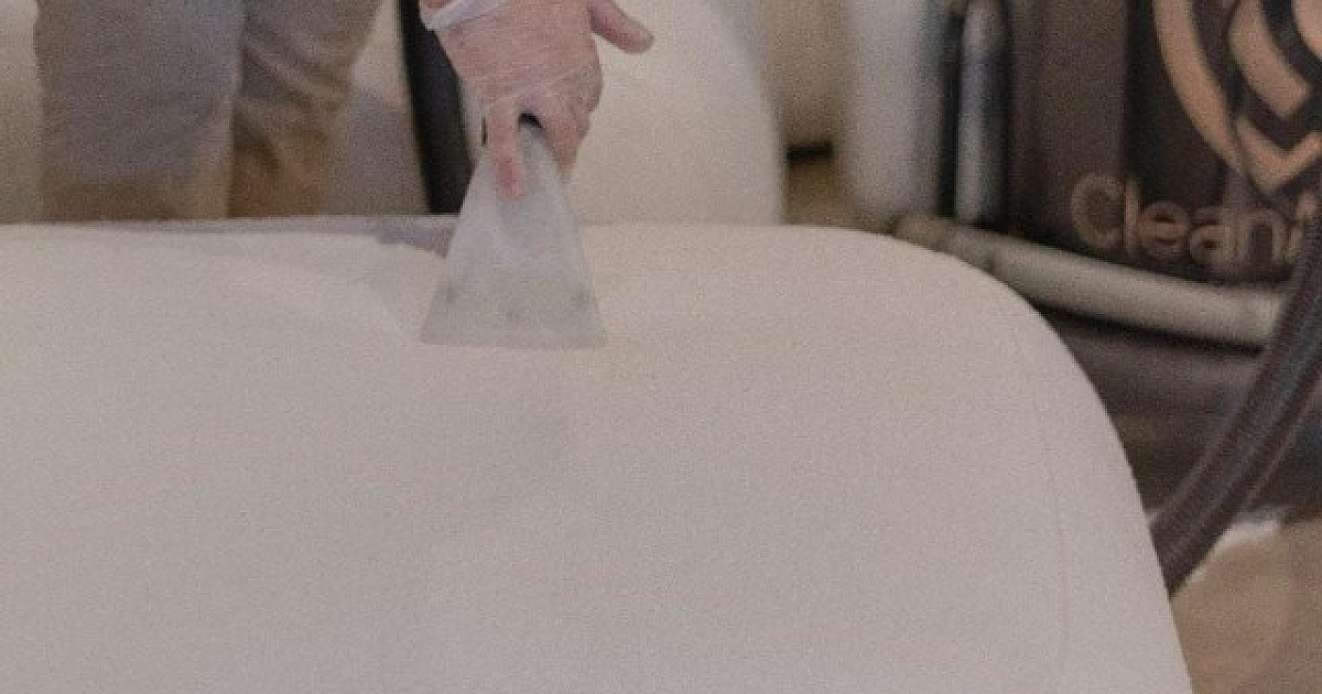 CleanNew se destaca em setor de blindagem e higienização de estofados; segmento teve alta de 11,3%