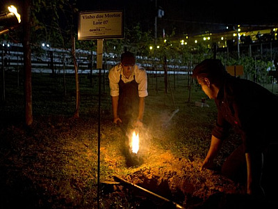Quinta do Olivardo realiza noite do "Vinho dos Mortos" neste fim de semana