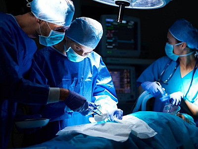 Estado de SP registra alta de mais de 10% no número de doadores de órgãos