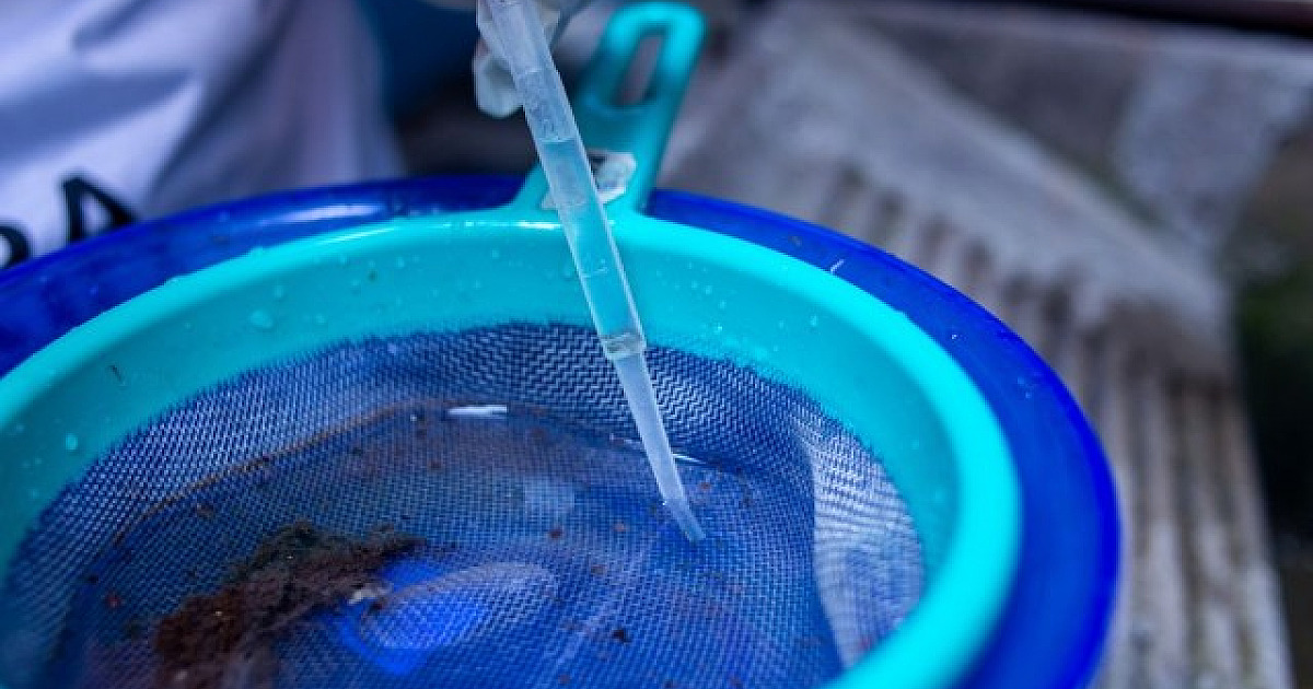 Alphaville e Tamboré registram juntos mais de 50 casos de dengue