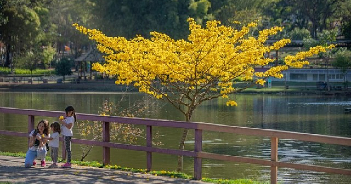 Barueri e Santana de Parnaíba estão entre as cidades que tiveram alta no índice de felicidade