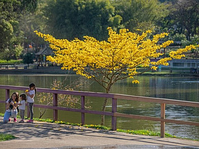 Barueri e Santana de Parnaíba estão entre as cidades que tiveram alta no índice de felicidade
