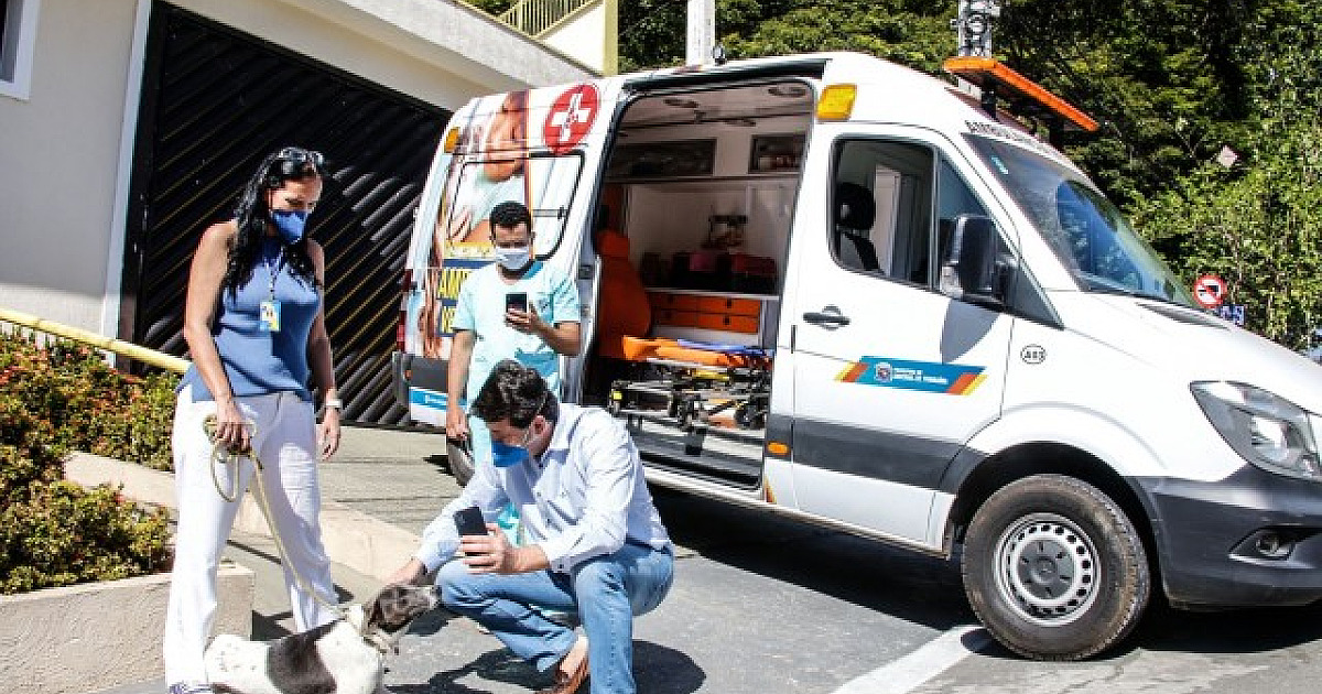 Ambulância veterinária atenderá animais vítimas de maus-tratos em Parnaíba